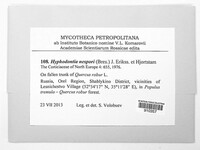 Image Associated With the Occurrence